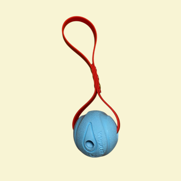 Red biothane handle, blue ball