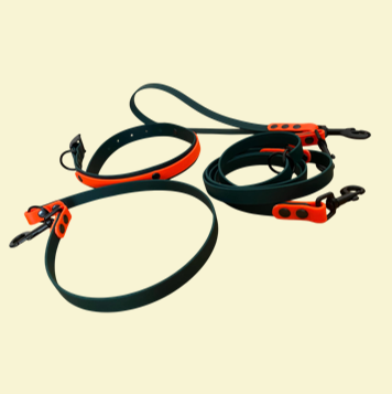 Forest Green and Neon Orange Delila lead, wraparound collar and traffic lead.