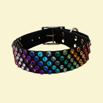 Black XL collar with rainbow gems