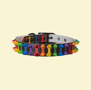Pride rainbow bones print with spikes