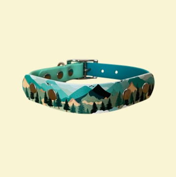 Mountain print hound-style collar with teal and seafoam either side