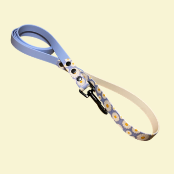 Polar blue standard lead with daisy print accents
