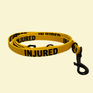 Sunflower double-ended lead with INJURED vinyl