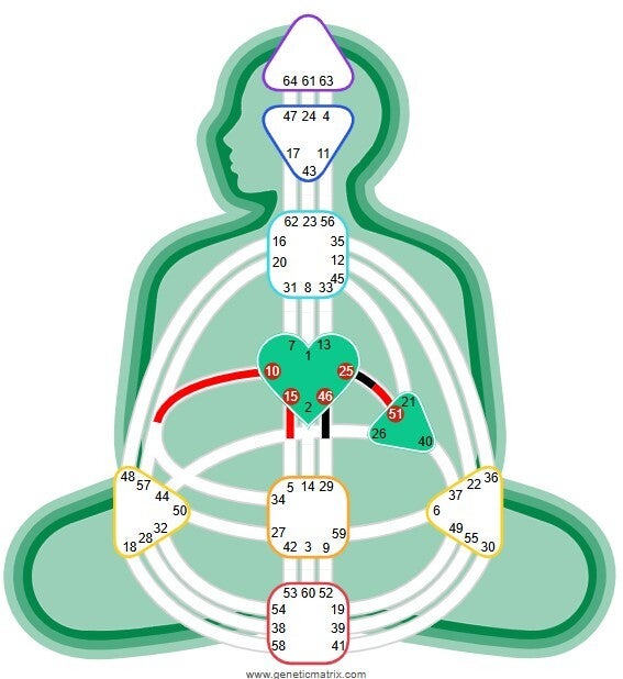 Module 1 Human Design incl. Bewustzijnslagen