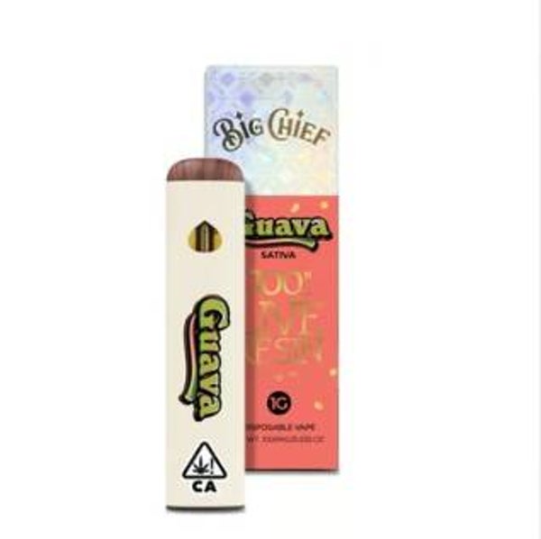 PLUMA DE WAX DESECHABLE - BIG CHIEF- "Guava" (SATIVA)
