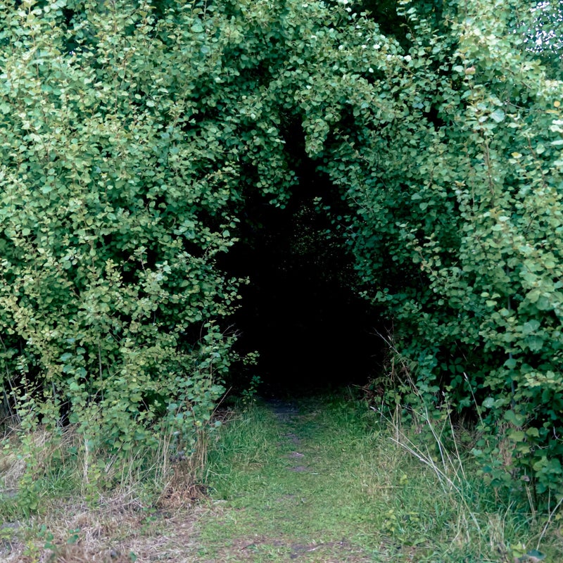 Blogg van coach Wendy Damhuis over emoties en echte gesprekken