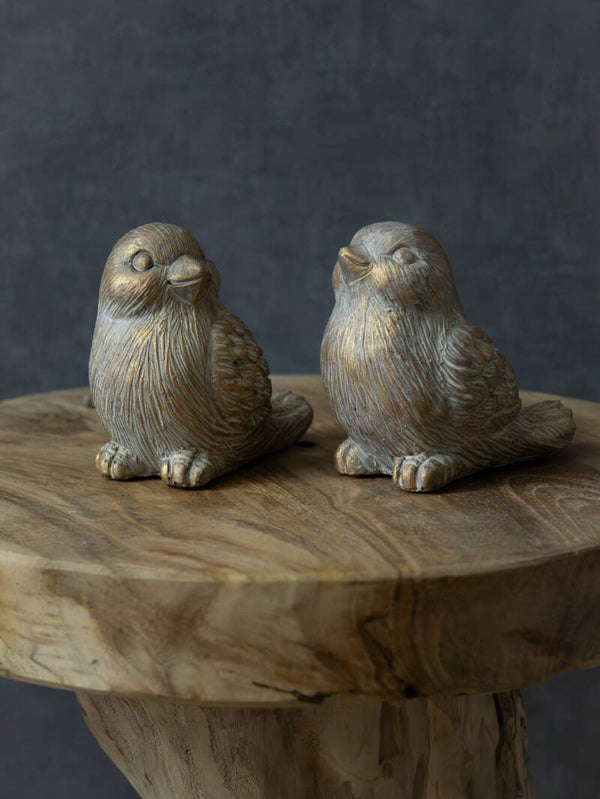 Set van 2 Birds Jewel | Brynxz