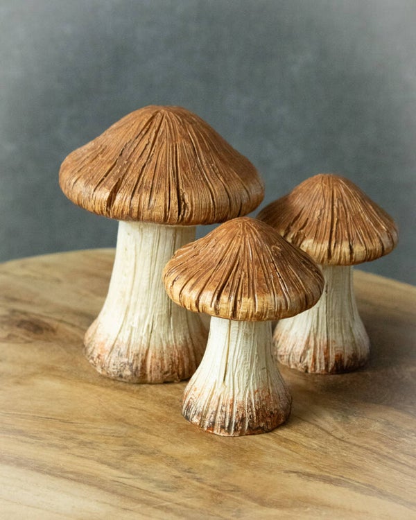 Set van 3 paddenstoeltjes