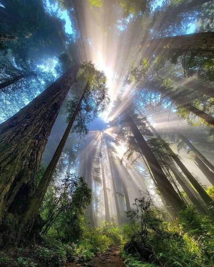 outstanding-nature-photos-reddit-02-standard.jpg