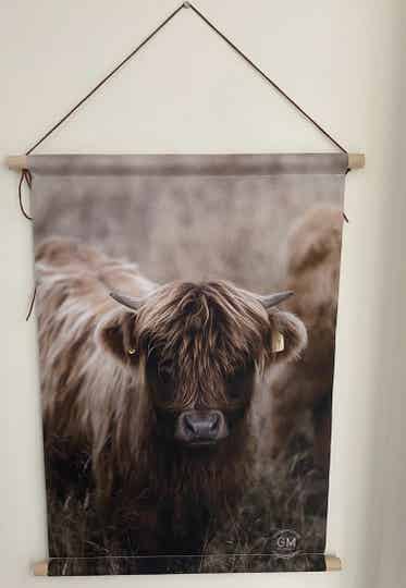 Wandkleed os binnen/buiten