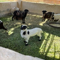img_6804-standard.jpg