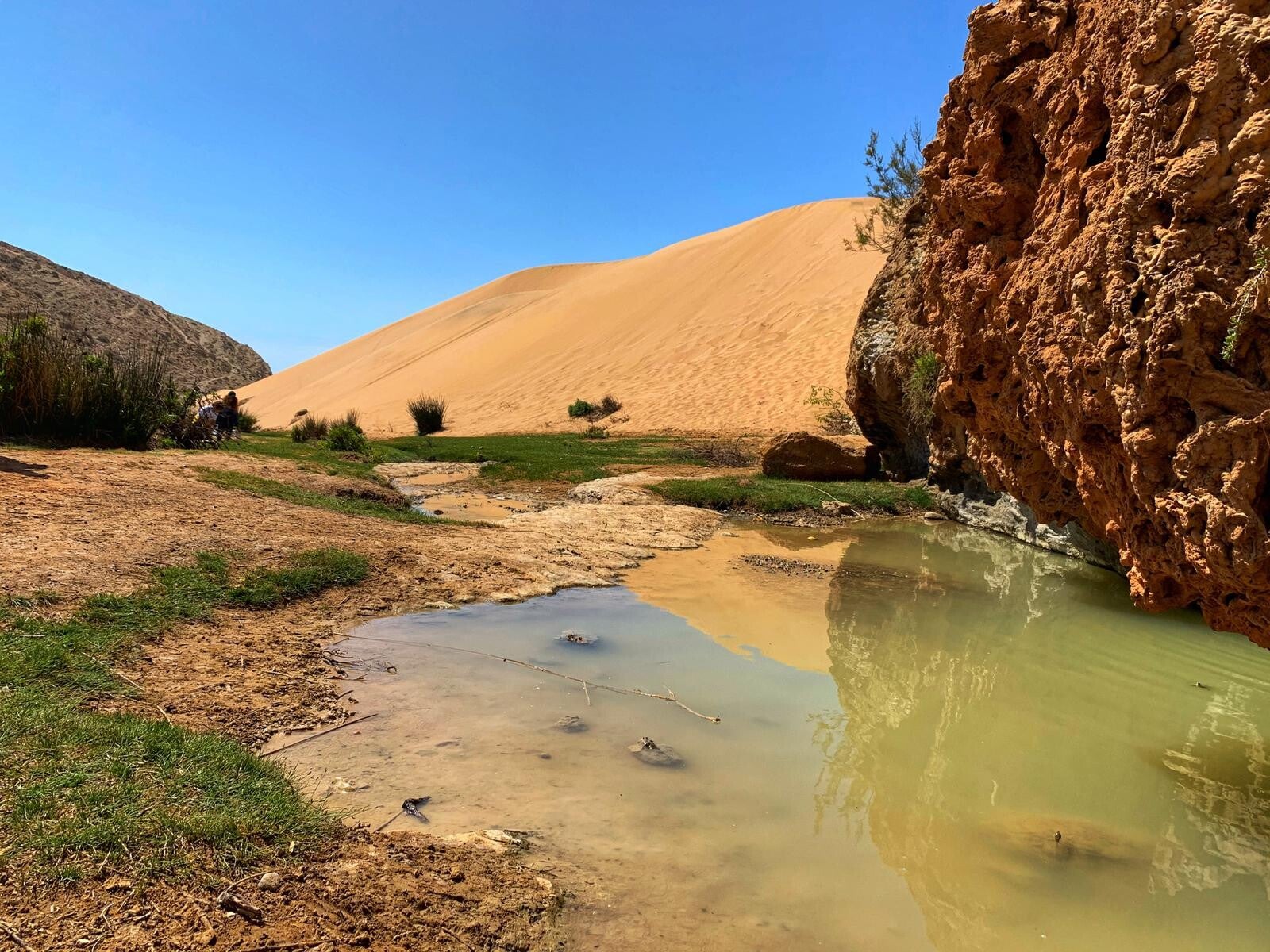 duna-sidi-mbarek-standard.jpg