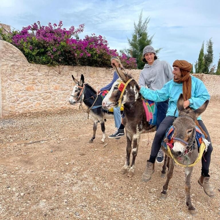 passeig-amb-burro-standard.jpg