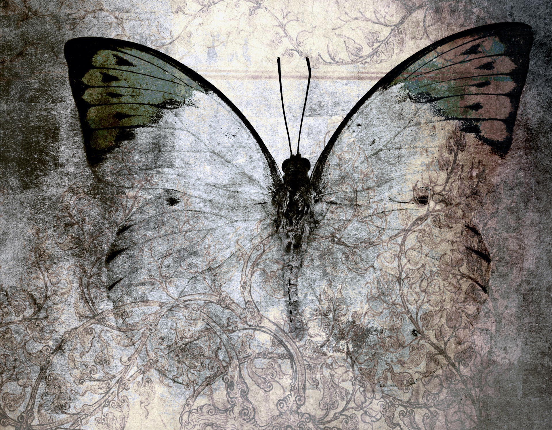 SP-0007 VLINDER