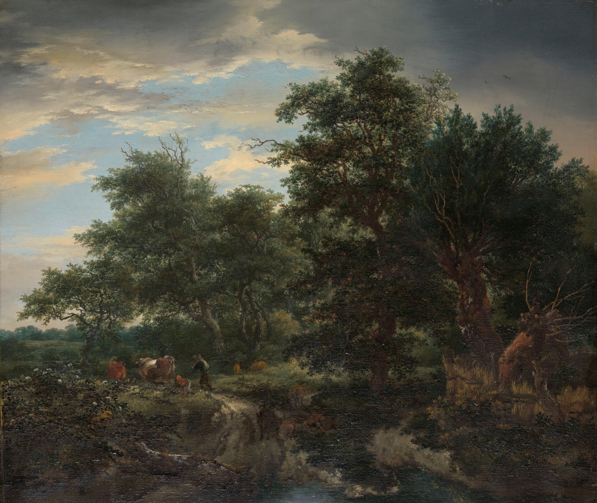REL-0011-Bosgezicht, Jacob Isaacksz van Ruisdael, 1653