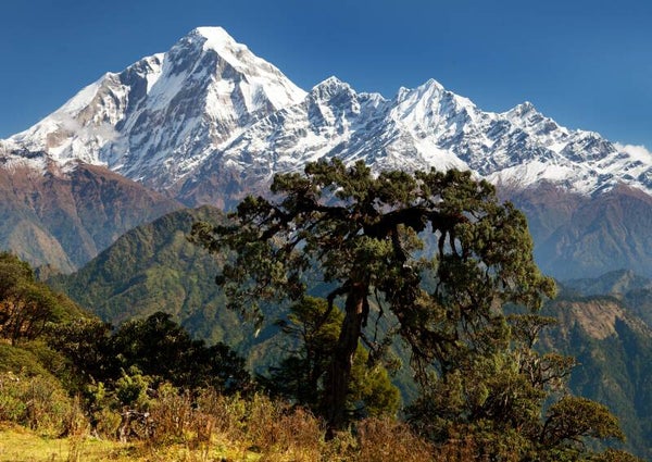 NA-0007 MOUTN DHAULAGRI, NEPAL