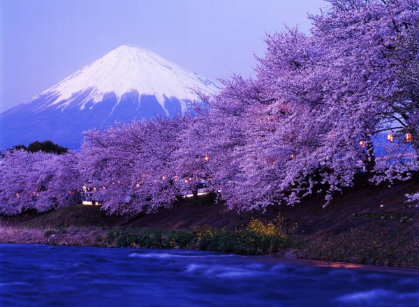 NA-0108 MOUNT FUJI, JAPAN