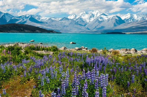 NA-0110 LAKE TEKAPO, NIEUW ZEELAND