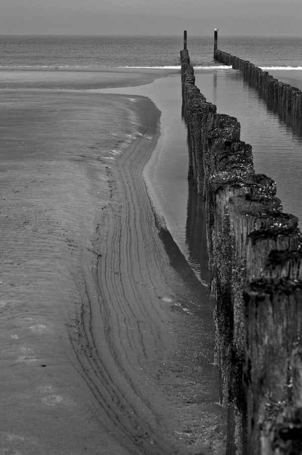 NA-0131 DOMBURG, ZEELAND