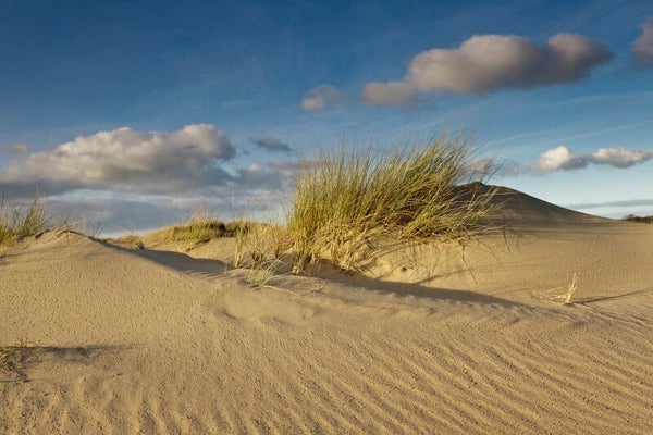 NA-0144 HELM EN ZAND