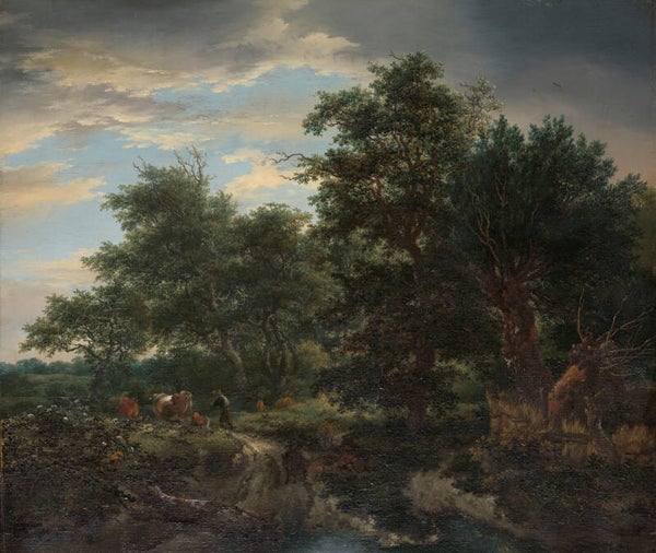 REL-0011-Bosgezicht, Jacob Isaacksz van Ruisdael, 1653