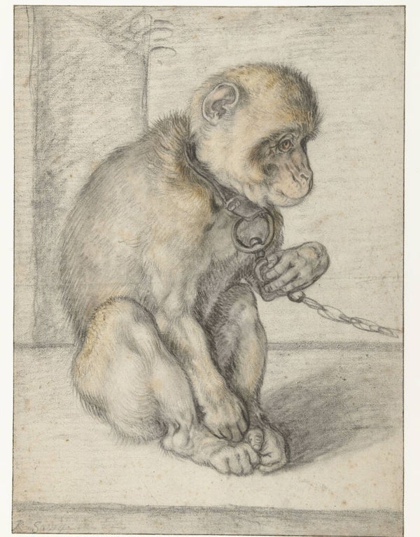 REL-0015-Een zittende aap aan een ketting, Hendrick Goltzius, 1592 - 1602