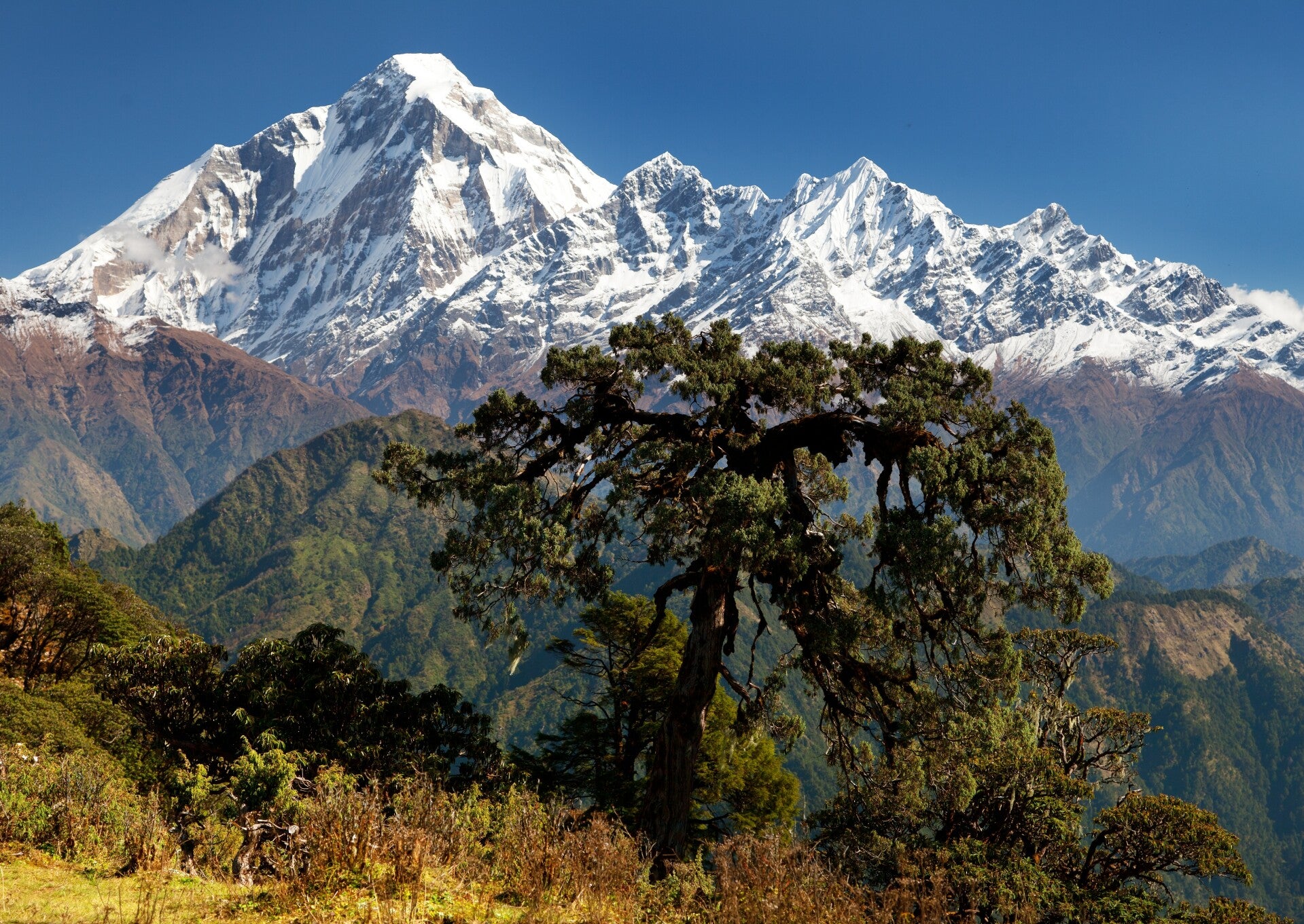 NA-0007 MOUTN DHAULAGRI, NEPAL