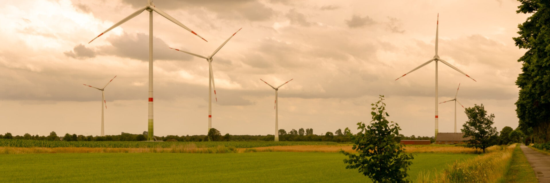 Zu sehen ist ein Windpark in Norddeutschland in der Nähe von Aurich.