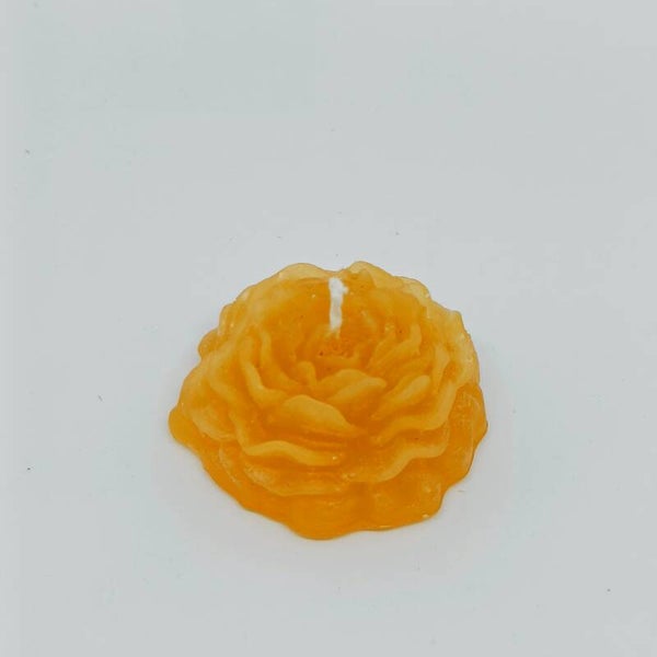 Kaars kleine pioenroos