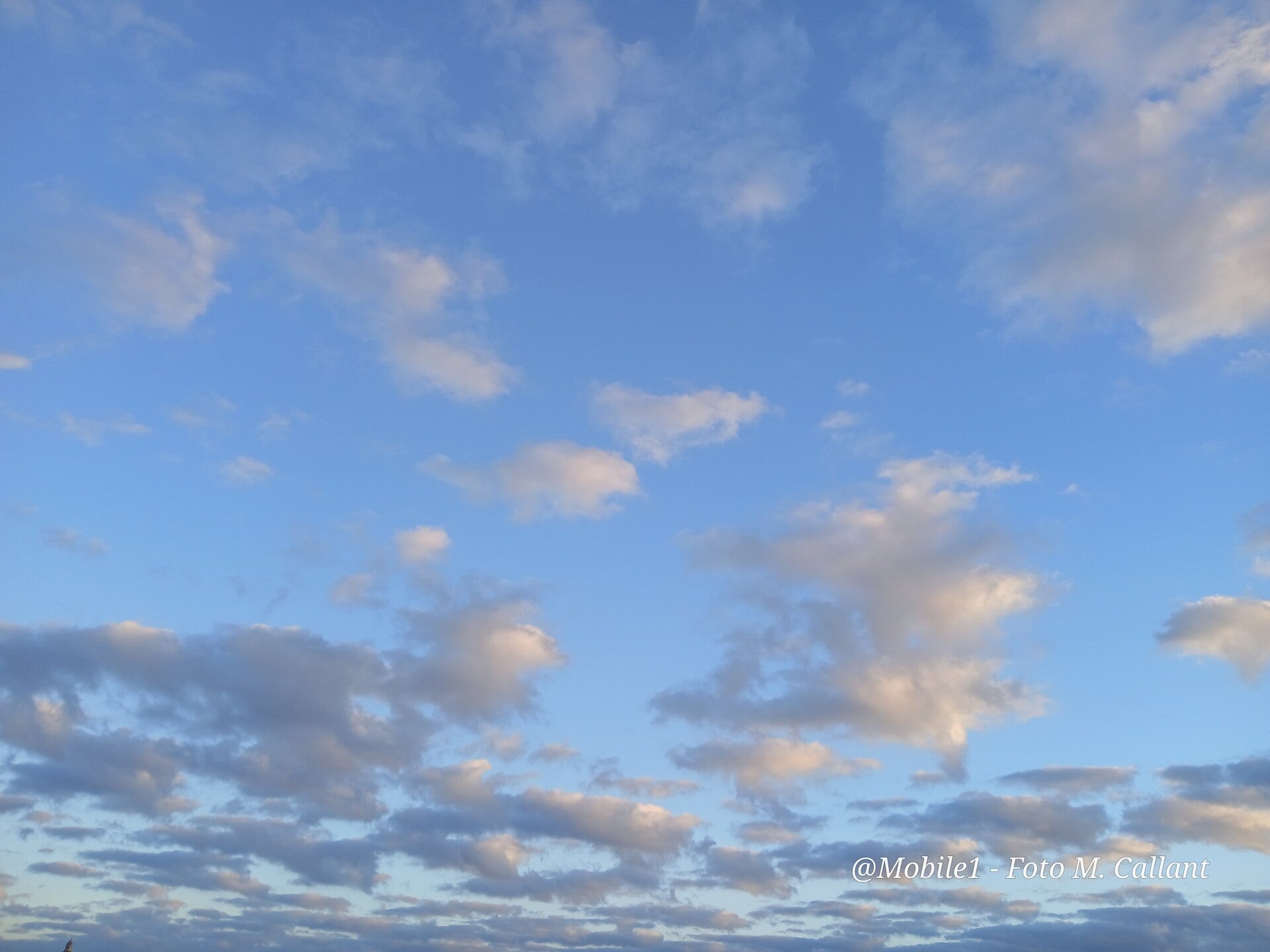 20261011_184133-standard.jpg