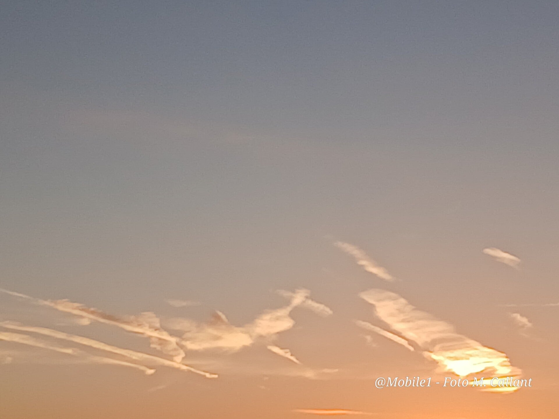 20261012_080811-standard.jpg