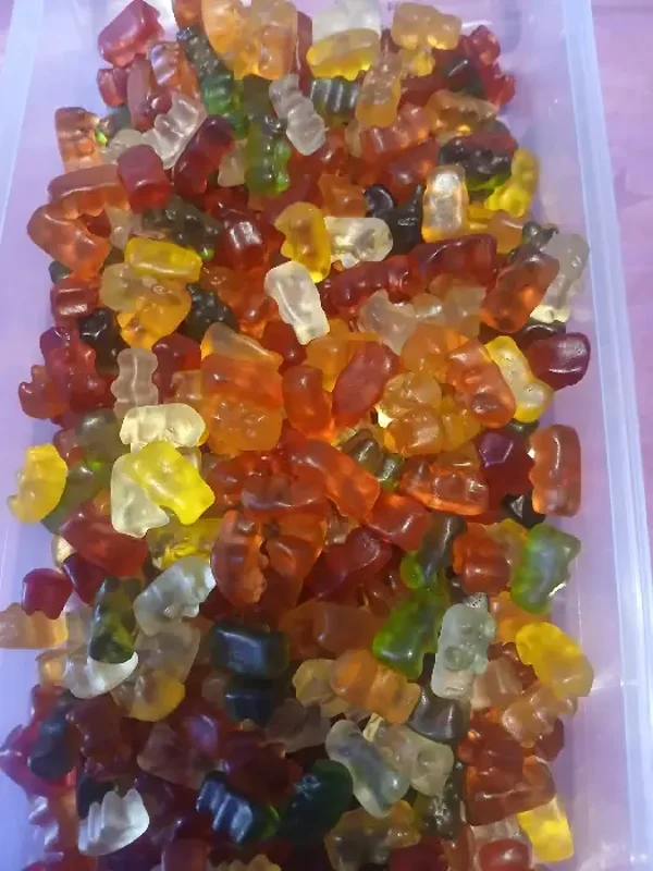petit ours