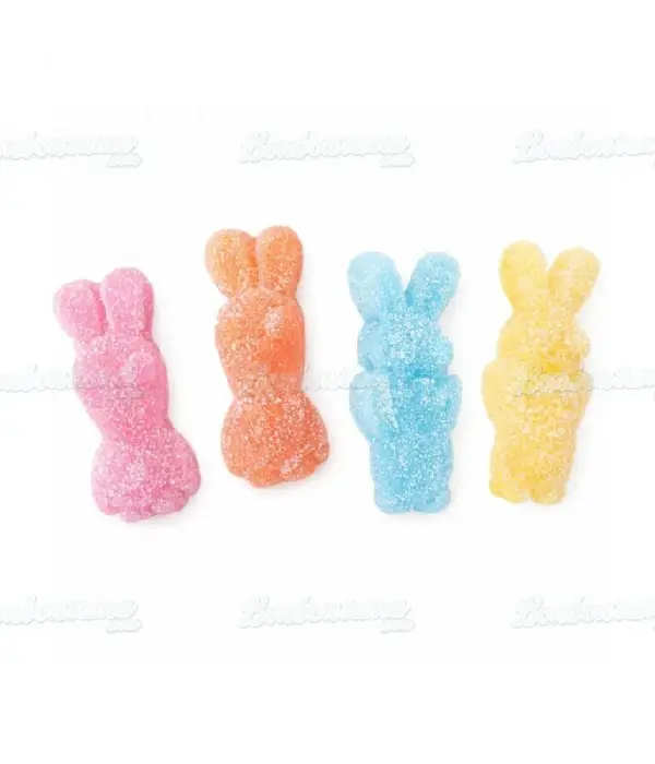 lapin crétin