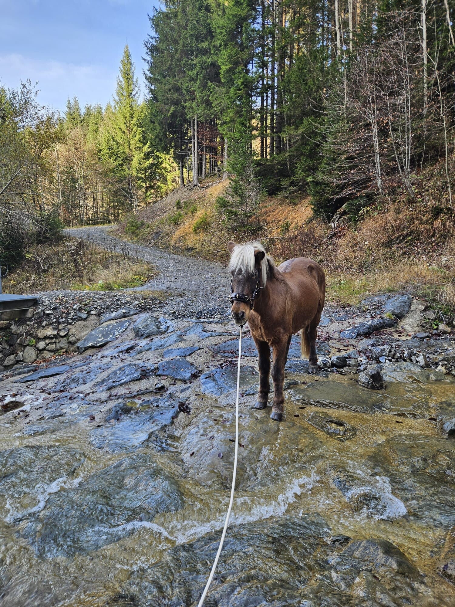 Reiten im Allgäu