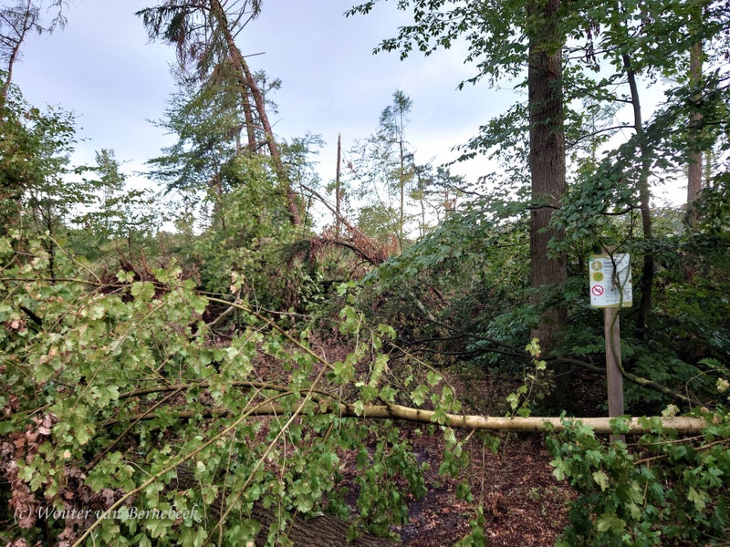 Stormschade van ‘afstand’, na de valwind in Leersum op 18 juni (foto’s eind juni 2021)