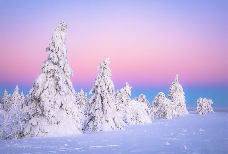 Sneeuw en rijp, Kahler Asten (10 dec 2022)