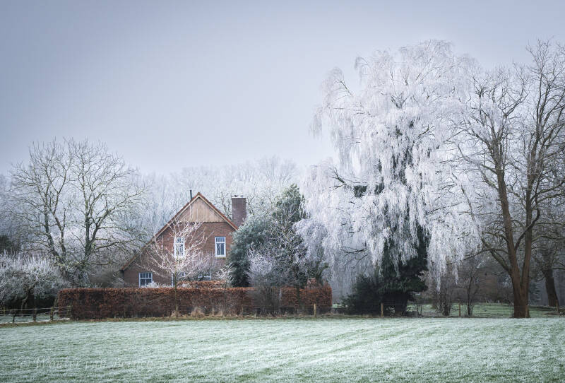 Ruige rijp Groesbeek, 20 januari 2025