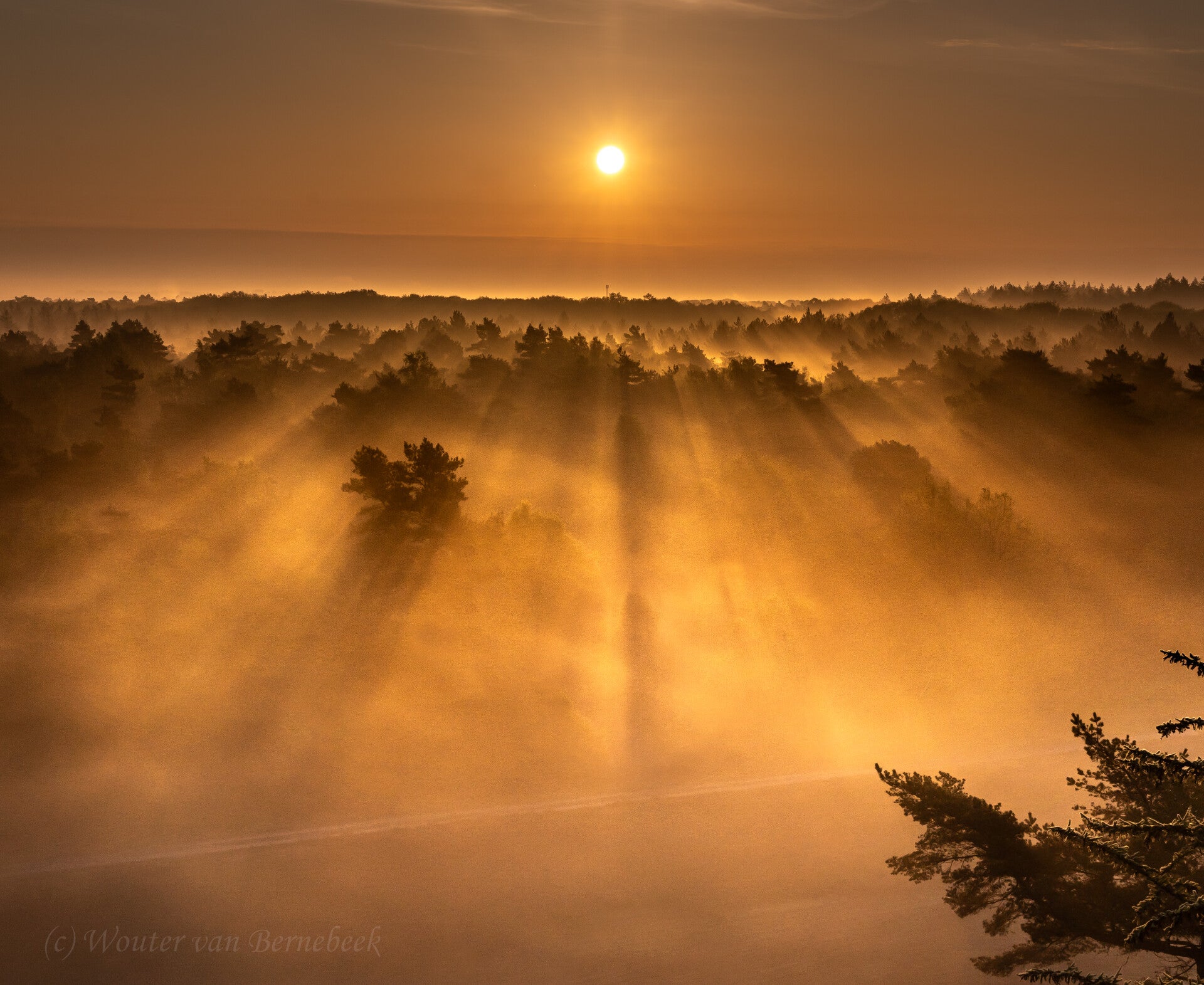 Zonsopkomst Noord-Limburg, 6 mei 2023