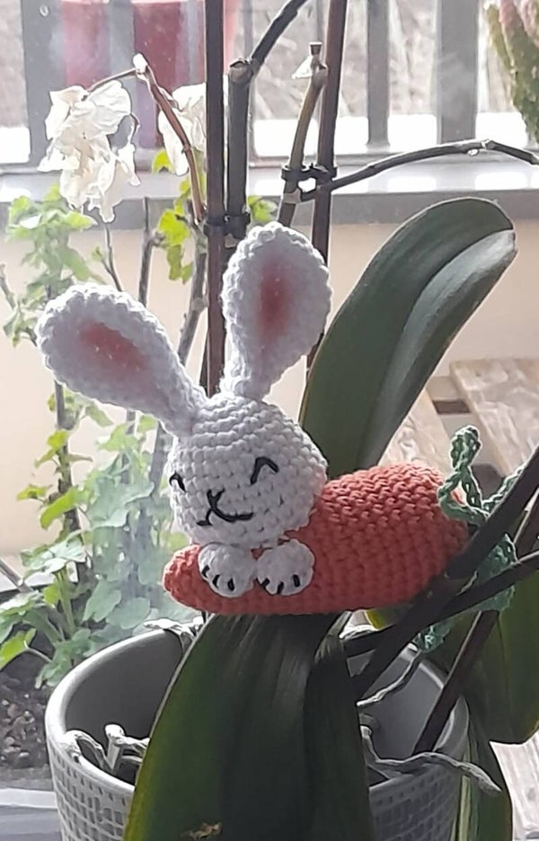 Amurigamis lapin sur carotte