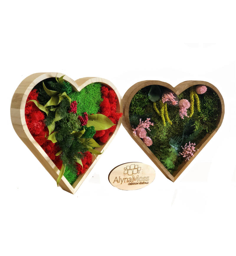 Coeurs en végétaux stabilisés