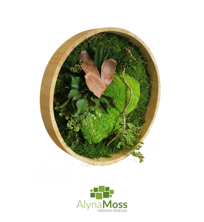 Tableau cercle 30 cm Végétaux stabilisés 