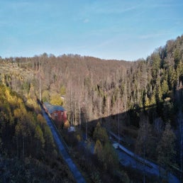 img_20201113_100956-1-1.jpg