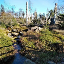 img_20201111_074112-2-1.jpg