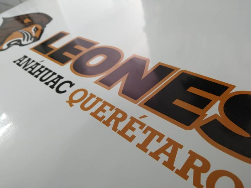 leones-standard.jpg