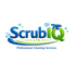 SCRUBIQ LTD