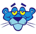 BLUE PANTHER ROOFING &amp; CONSTRUCTION CORP