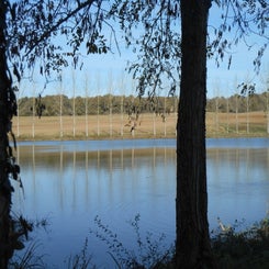 dscn2526.jpg