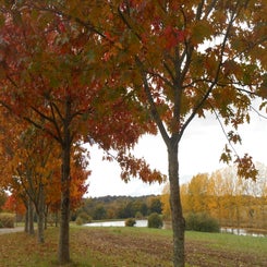 dscn2497.jpg