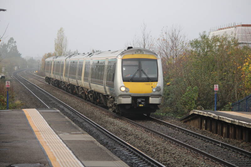 image00008-standard.jpg