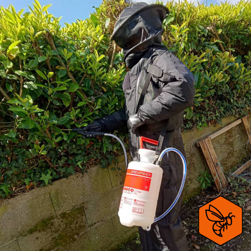 traitement  nids frelons guepes savenay